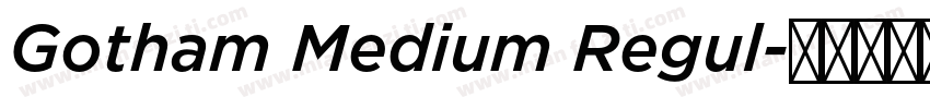 Gotham Medium Regul字体转换